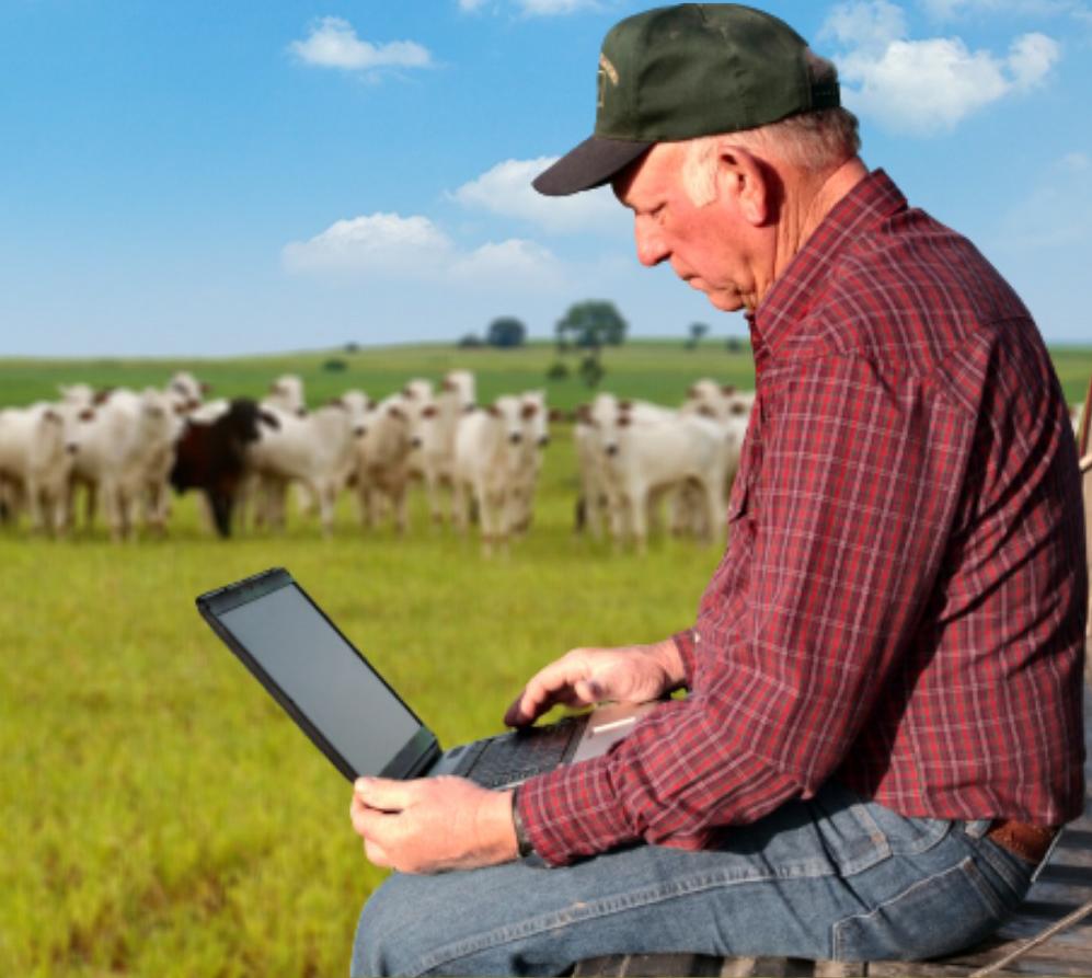 Você sabe analisar as informações da sua fazenda?