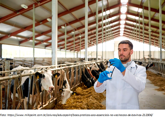 Controle sanitário em bovinos leiteiros