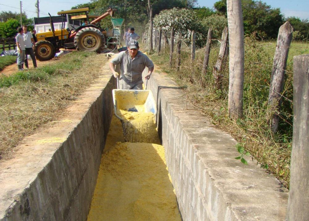 Distribuição manual da massa no silo