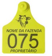 Brinco de identificação